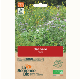 JACHÈRE Fleurie - Graines Bio - 50 g