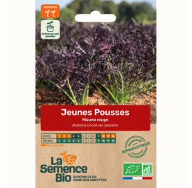 JEUNES POUSSES Mizuna rouge - Graines Bio - 1,5 g