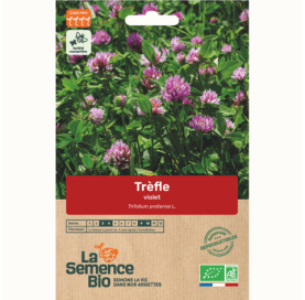 TRÈFLE violet - Graines Bio - 70 g - goobio-and-zen
