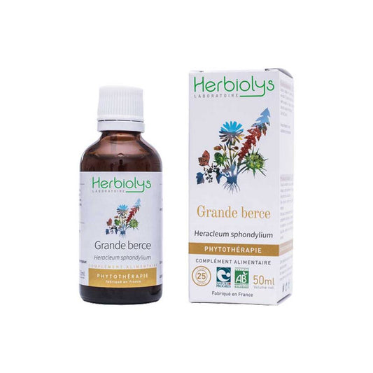 Grande berce - Extrait de Plante fraîche Bio (Heracleum sphondylium) - 50 ml - goobio-and-zen